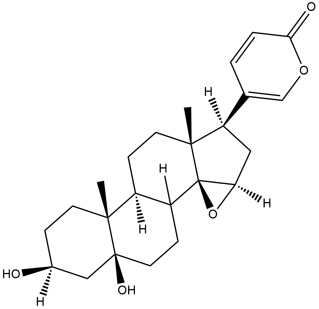 MarinobufageninͼƬ