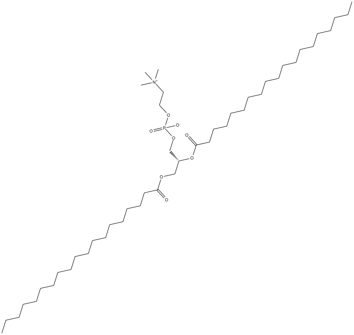 1,2-Dinonadecanoyl-sn-glycero-3-PCͼƬ