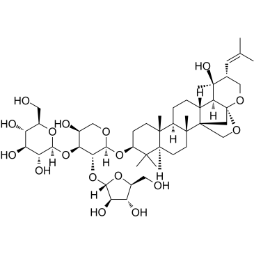 Bacopasaponin CͼƬ