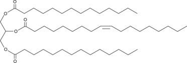 1,3-Dimyristoyl-2-Oleoyl-rac-glycerolͼƬ