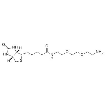 Biotin-DADOO(Biotinyl-3,6-dioxaoctanediamine)ͼƬ