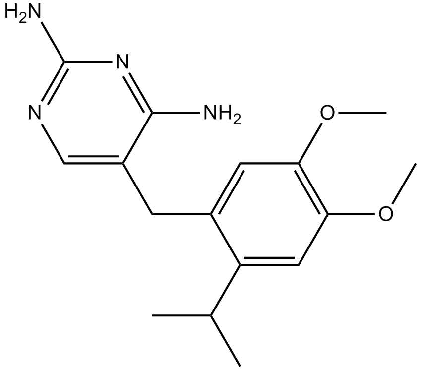 RO-3ͼƬ