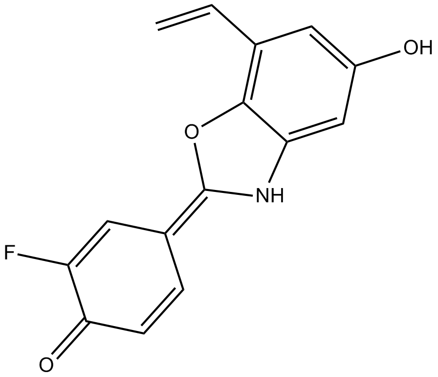 ERB 041ͼƬ