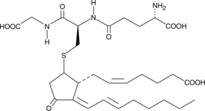 15-deoxy-&delta12,14-Prostaglandin J2 GlutathioneͼƬ