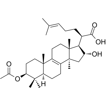 3-O-Acetyl-16-hydroxytrametenolic acidͼƬ