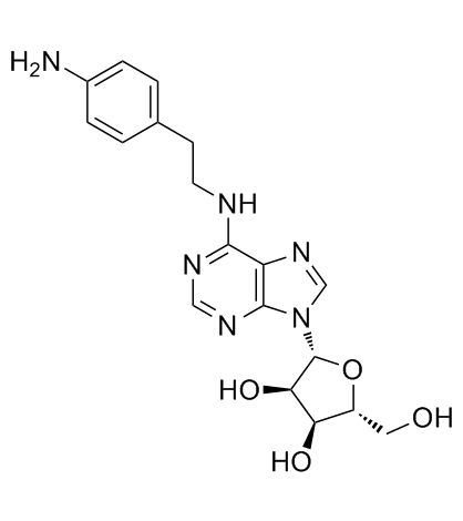 APNEA(N6-[2-(4-Aminophenyl)ethyl]adenosine)ͼƬ