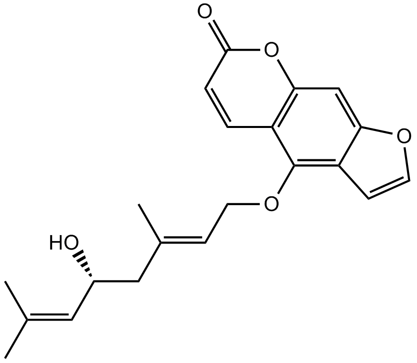 NotopterolͼƬ