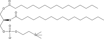 Palmitoyl thio-PCͼƬ