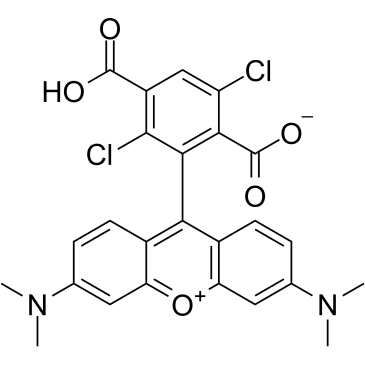 1,4-Dichloro 6-carboxytetramethylrhodamineͼƬ