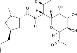 Clindamycin SulfoxideͼƬ