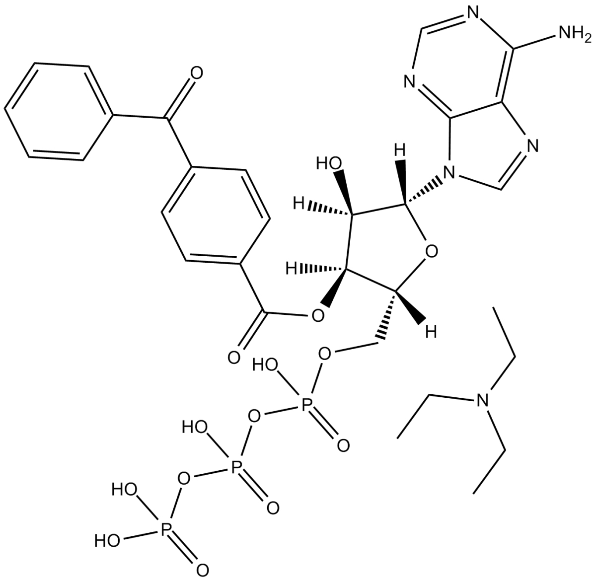 BzATP triethylammonium saltͼƬ