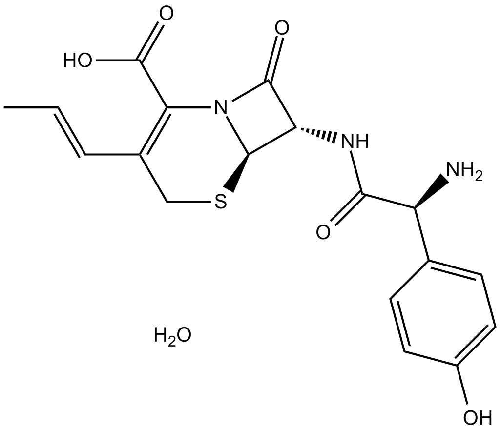 Cefprozil monohydrateͼƬ