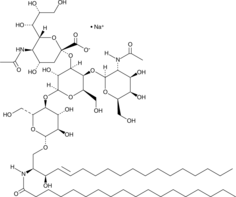 Ganglioside GM2 Mixture(sodium salt)ͼƬ