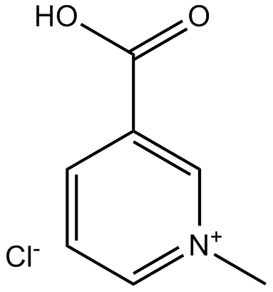 Trigonelline Hydrochloride图片