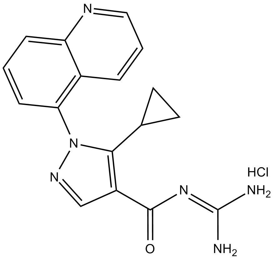 Zoniporide(hydrochloride)ͼƬ