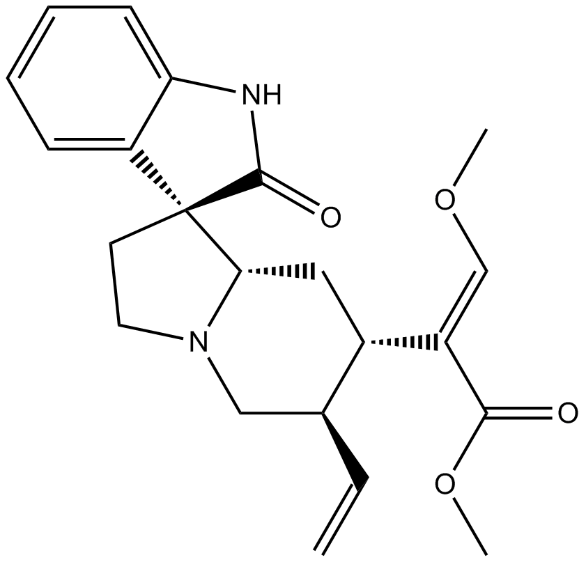 Isocorynoxeine图片