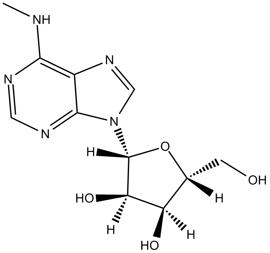 N6-methyladenosine(m6A)ͼƬ