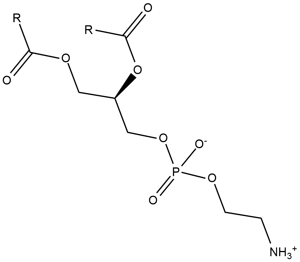 Phosphatidylethanolamines(soy)ͼƬ