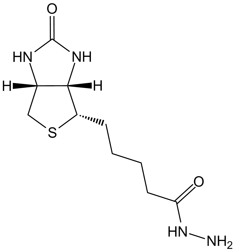 Biotin Hydrazide图片