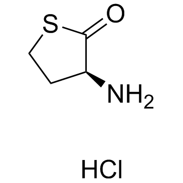 L-Homocysteine thiolactone hydrochlorideͼƬ