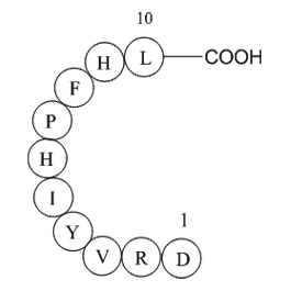 Angiotensin I(human,mouse,rat)ͼƬ