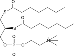 1,2-bis(heptanoylthio)Glycerophosphocholine图片