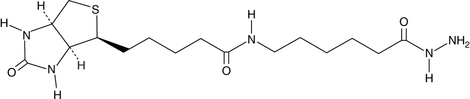 Biotin LC hydrazideͼƬ