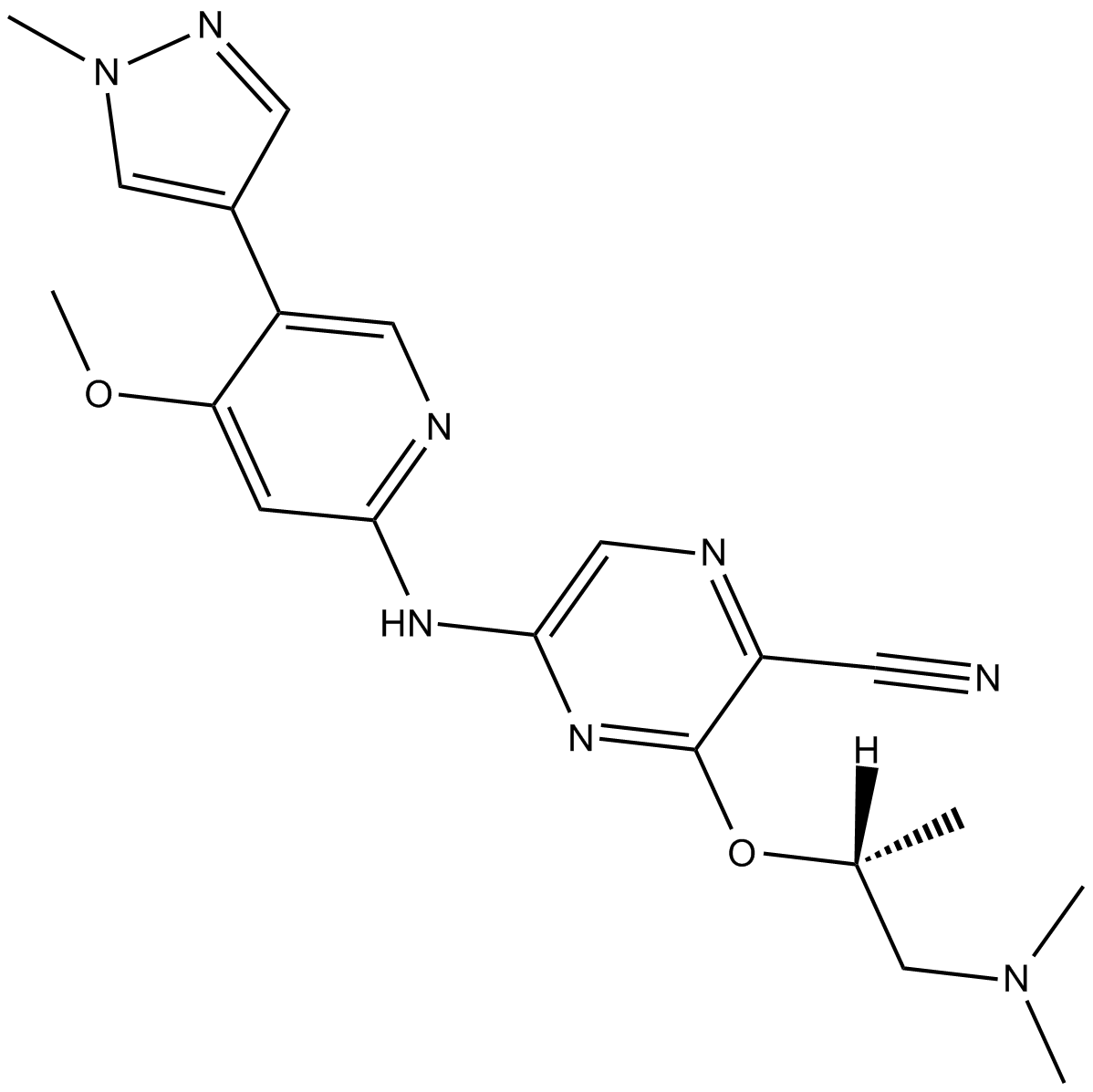 CCT244747图片