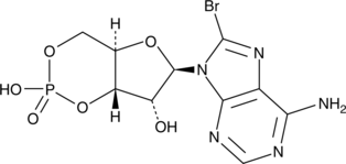 8-bromo-Cyclic AMP图片