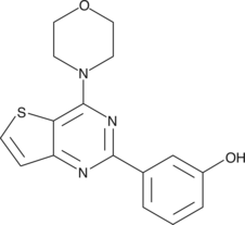 PI3-KinaseInhibitor 2ͼƬ