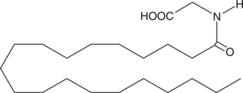 Arachidoyl glycineͼƬ