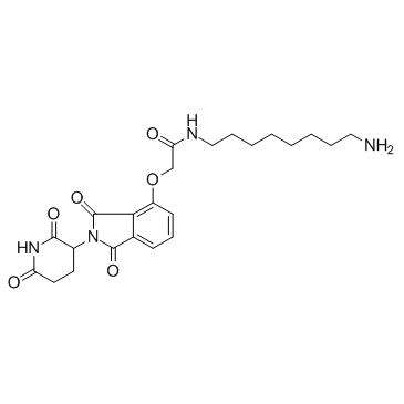 E3 Ligase Ligand-Linker Conjugates 20ͼƬ