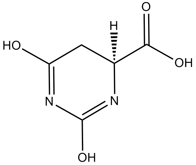 L-Dihydroorotic acid图片