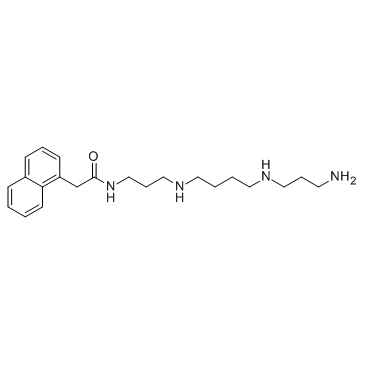 Naspm(1-Naphthylacetyl spermine)ͼƬ