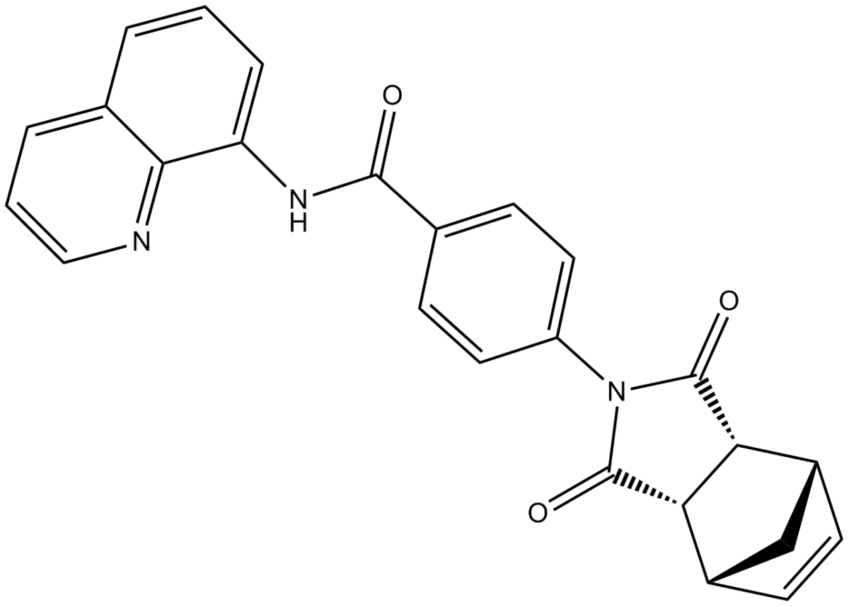 IWR-1-endoͼƬ