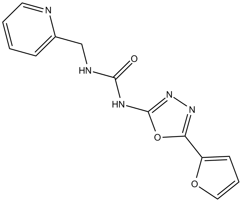 NK 252ͼƬ