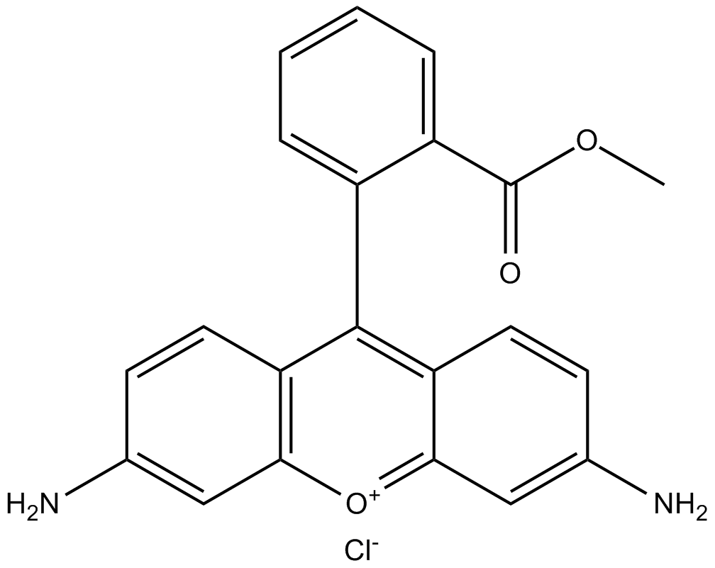 Rhodamine 123(chloride)图片