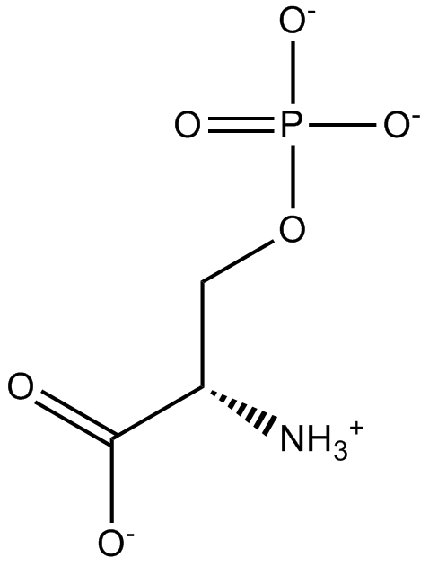 O-Phospho-L-serineͼƬ