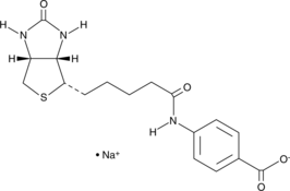 (+)-Biotin 4-Amidobenzoic Acid(sodium salt)ͼƬ