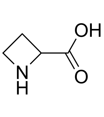 Azetidine-2-carboxylic acid图片