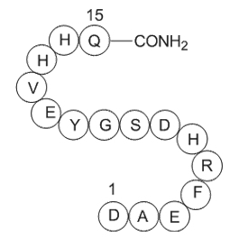 Amyloid-Protein(1-15)ͼƬ