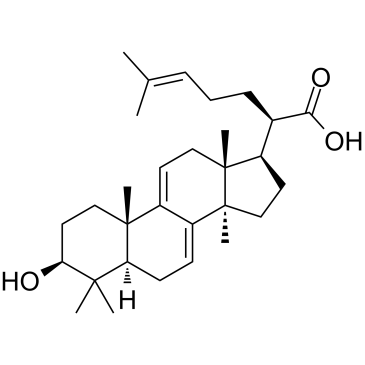 3-Dehydrotrametenolic acidͼƬ