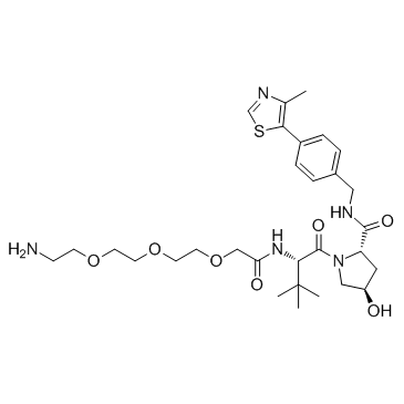 E3 ligase Ligand-Linker Conjugates 5 Free BaseͼƬ