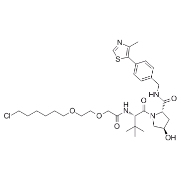 E3 ligase Ligand-Linker Conjugates 10图片