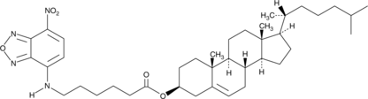 3-hexanoyl-NBD CholesterolͼƬ