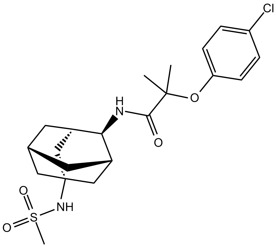 JNJ 303ͼƬ