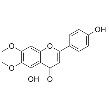 CirsimaritinͼƬ