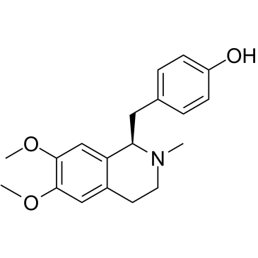 ArmepavineͼƬ