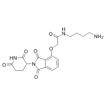 E3 Ligase Ligand-Linker Conjugates 19ͼƬ