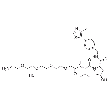 E3 ligase Ligand-Linker Conjugates 7ͼƬ